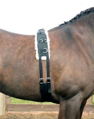 Lunging Training Roller Fleece Padding Pony Cob & Full Horse one size Adjustable