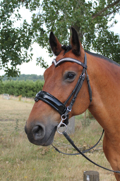 New Designer (V) Shaped * silver * Crystal Browband cob Size - 15 " ( Brown )