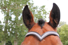 Load image into Gallery viewer, New Designer (V) Shaped * silver * Crystal Browband cob Size - 15 &quot; ( Brown )
