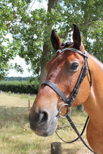 Load image into Gallery viewer, New  (V) Shaped sparky two tone pink/turquoise Crystal Browband cob - 15&quot; Black
