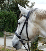 Load image into Gallery viewer, NUEVO cruzado sin bocado Cuero Brida con Web Agarre RIÑONES - Pony (Negro)
