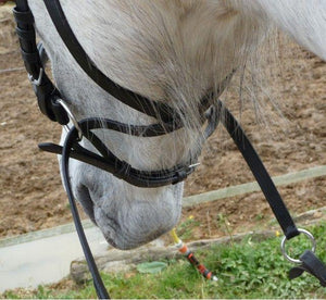 NUEVO cruzado sin bocado Cuero Brida con Web Agarre RIÑONES - Pony (Negro)