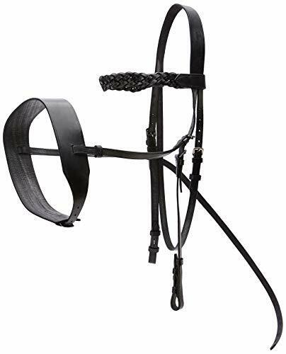 Cwell Equine English Working Hunter Show Hunt Bridle Wide 3/4" Cheeks BLACK