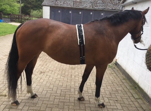 Synthetic Fleece PAD LUNGE BREAKING TRAINING ROLLER + adjustable girth BLACK F/C