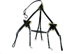 Load image into Gallery viewer, New 5 Point Breastplate + Martingale Black  Full/Cob/x full
