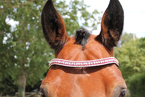 BLING!*Dressage*Mega-Sparkly Leather Browband*5Row Crystals*RED/CLEAR F/C/P BLACK LEATHER