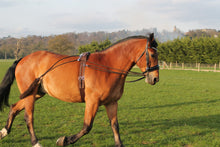 Load image into Gallery viewer, Horse Training aid pe-ssoa based Black,Brown,White one size fits all on sale
