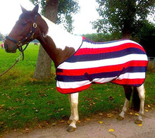 Load image into Gallery viewer, CWELL EQUINE HORSE COB PONY SHOW TRAVEL TEAM GB STRIPE FLEECE RUGS
