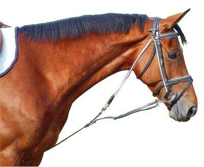 Cwell Equine DE GOGUE TRAINING AID WITH PULLEYS Black/Brown