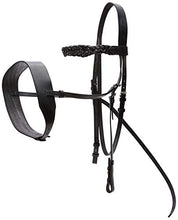 Load image into Gallery viewer, Cwell Equine English Working Hunter Show Hunt Bridle Wide 3/4&quot; Cheeks 2&quot; Noseband Black

