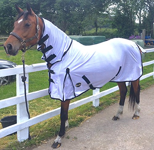 Cwell Equine Heavy Mesh Horse fly rug combo attached neck cover White Choice of Sizes