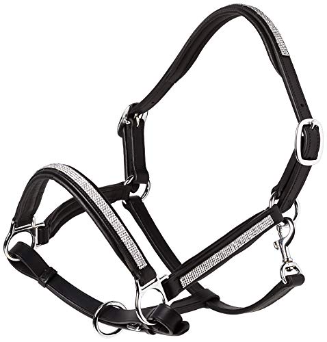 Cwell Equine NEW Leather Halter Padded with SS Buckles 6/8"-Cob, Full, Pony BLACK
