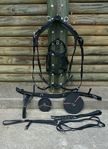 Cwell Equine NEW NYLON HORSE DRIVING CART HARNESS WITH SADDLE BRIDLE etc - D/F/C/P/S/M Black