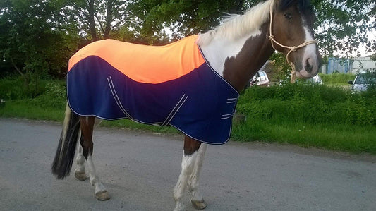 Cwell Equine NEW TWO/TONE COLOUR HORSE COB PONY SHOW TRAVEL FLEECE RUGS orange/navy