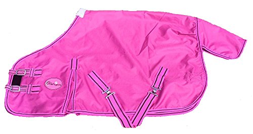 Cwell Equine New Mini Lightweight Turnout Shetland Rug Pony Rug Foal Rug No Fill Choice of Sizes &amp; Colors