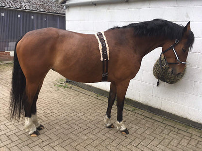 Cwell Equine Synthetic Fleece PAD LUNGE BREAKING TRAINING ROLLER + adjustable girth BROWN F/C/P