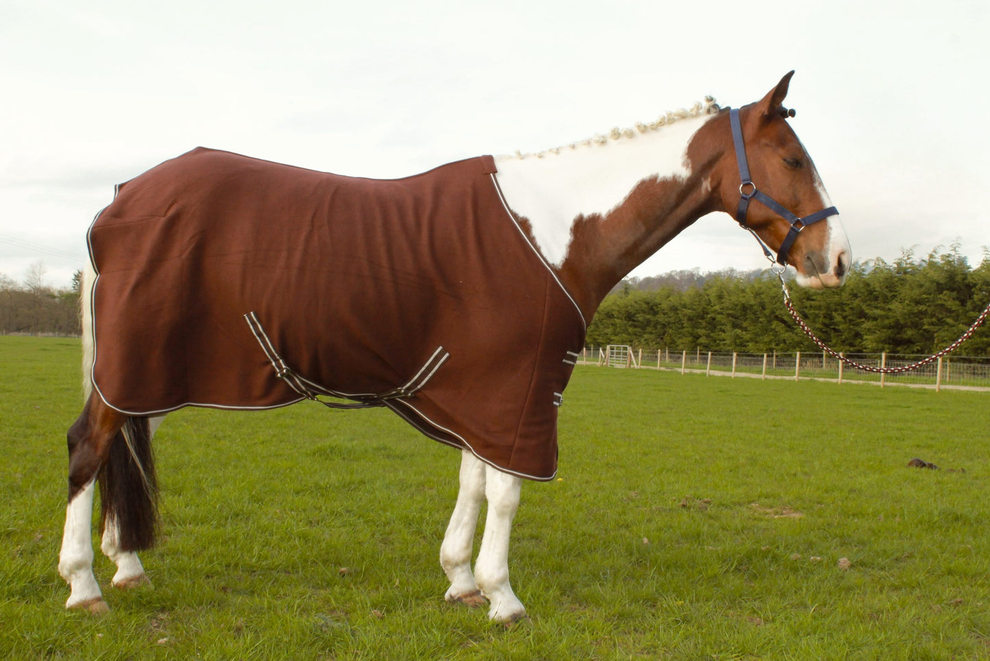 HORSE COB PONY SHOW TRAVEL FLEECE RUG 5'0-7'0" stable cooler choice of colours