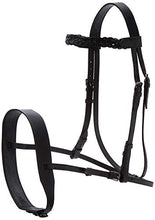 Load image into Gallery viewer, Cwell Equine English Working Hunter Show Hunt Bridle Wide 3/4&quot; Cheeks 2&quot; Noseband Black

