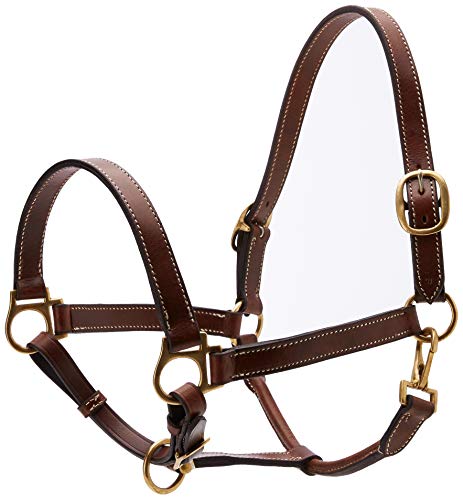 Cwell Equine New OILED LEATHER HEADCOLLAR Newmarket Brown Choice of sizes F/C/P