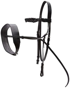 Cwell Equine English Working Hunter Show Hunt Bridle Wide 3/4&quot; Cheeks 2&quot; Noseband Black