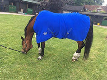 Load image into Gallery viewer, Cwell Equine New HORSE COB PONY SHOW TRAVEL FLEECE RUG stable cooler choice of sizes Royal Blue
