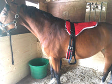 Load image into Gallery viewer, Cwell Equine MICRO SUEDE BAREBACK PAD FREE GIRTH AND STIRRUPS SADDLE PAD
