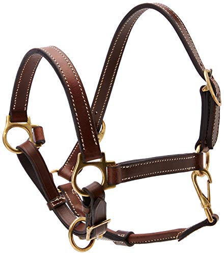 Cwell Equine New OILED LEATHER HEADCOLLAR Newmarket Brown Choice of sizes F/C/P