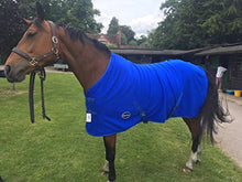 Load image into Gallery viewer, Cwell Equine New HORSE COB PONY SHOW TRAVEL FLEECE RUG stable cooler choice of sizes Royal Blue
