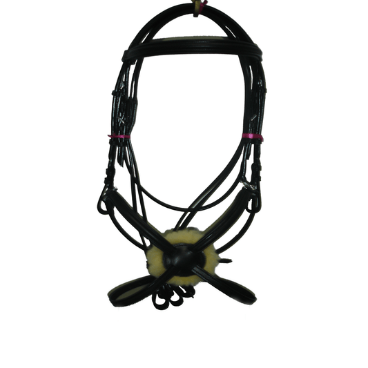New Deluxe Mexican Grackle, Figure of 8 Noseband Bridle free Reins- Black