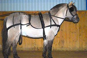 Cwell Equine Strong NYLON HORSE DRIVING CART HARNESS WITH SADDLE BRIDLE etc - D/F/C/P/S/M black