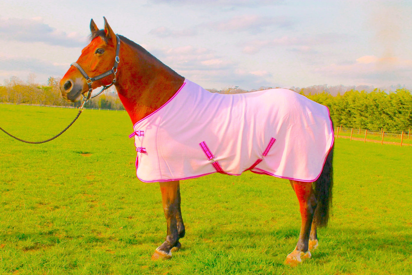 HORSE COB PONY SHOW TRAVEL FLEECE RUG 5'0-7'0" stable cooler choice of colours