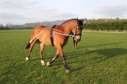 Horse Training aid pe-ssoa based Black,Brown,White one size fits all on sale