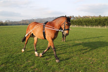 Load image into Gallery viewer, Horse Training aid pe-ssoa based Black,Brown,White one size fits all on sale
